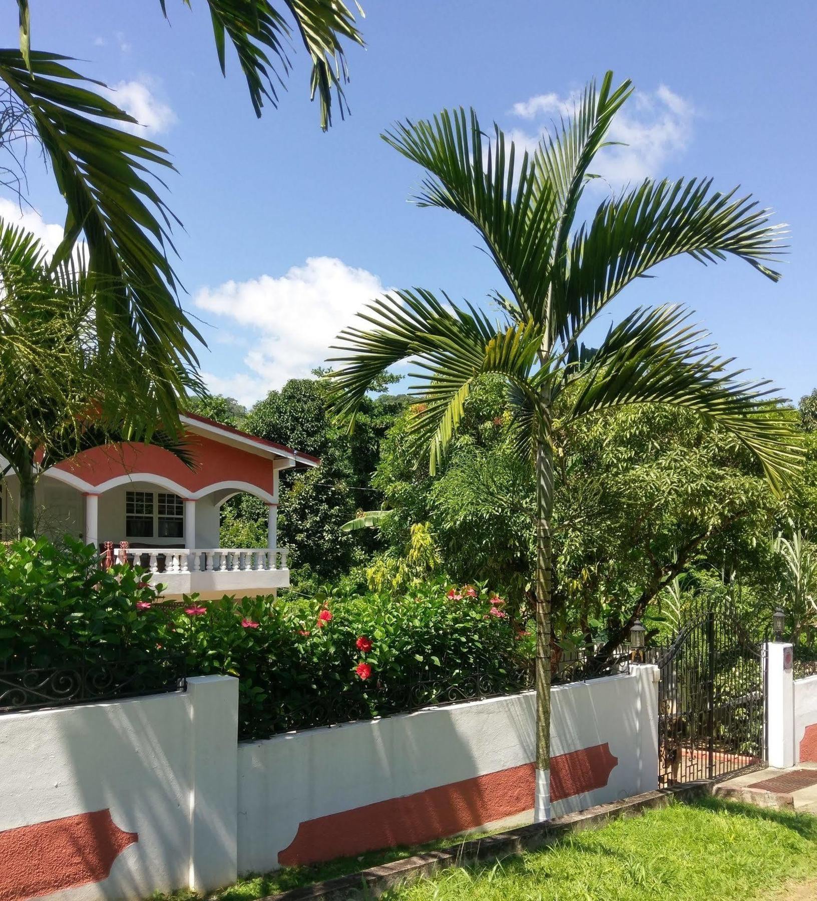 פורט אנטוניו Polish Princess Guest House מראה חיצוני תמונה